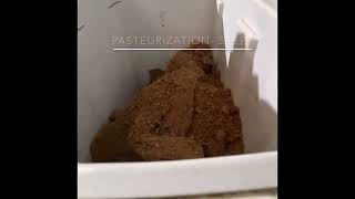 How to Pasteurise Coco Coir for Mushroom Substrate  easy [upl. by Nirej]