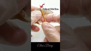 How to Devein Shrimp  Prawn with the Shell On No Knife No Peeling Needed [upl. by Entruoc]