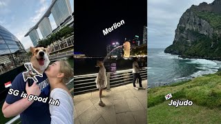 Summer vlog w my husby  Harrods Gift shopping Holiday in Singapore Wedding prep in Korea [upl. by Erdman]