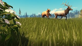 Yellowstone Unleashed Roblox Bear [upl. by Orlanta760]