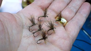 Tying a Rough Olive Dry Fly by Davie McPhail [upl. by Zaneski882]