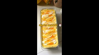 Mango dessert 🍨 AREESHA ZAIN  easy recipe [upl. by Sumedocin]