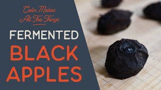 Fermented Black Apples  Noma Guide To Fermentation [upl. by Annodahs]