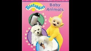 Teletubbies Baby Animals [upl. by Alejo]