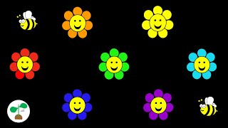 Baby Sensory Video  Flowers  High Contrast Colours Music and Fun Animation [upl. by Suirauqed418]