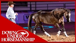 Clinton Anderson with his amazing horse quotMindyquot in Vegas 2010 [upl. by Ruenhs889]