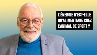 LÉNERGIE NESTELLE QU ALIMENTAIRE CHEZ LANIMAL DE SPORT [upl. by Eirffej]