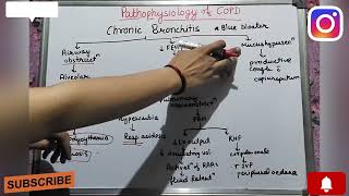 Pathophysiology of COPD  Chronic obstructive pulmonary disease  pink puffer blue bloaterGeetaru [upl. by Yelahs]