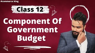 Components of government budget  Class 12 macro economics  Video 30 [upl. by Naomi]