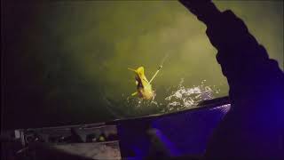 Bowfishing Deep Water [upl. by Yanal675]