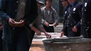 Shawshank redmeption beer scene hindi [upl. by Lach]