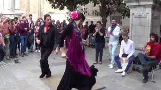 Flamenco dance 7 in Granada 2015 [upl. by Aihtenak]