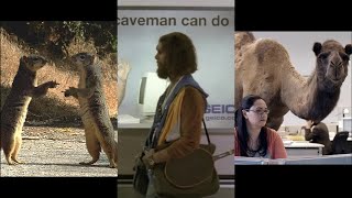 Memorable GEICO Commercials  Compilation [upl. by Radie]