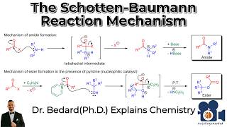 The Schotten Baumann Reaction Mechanism [upl. by Aihsinat263]