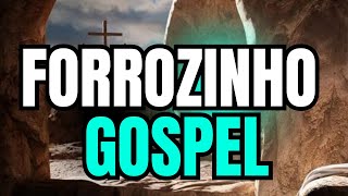 FORROZINHO GOSPEL 2024  SELEÇÃO FORRÓ GOSPEL ATUALIZADO [upl. by Enattirb]