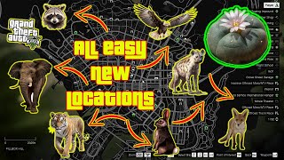 GTA V  All Easy Peyote Plants Location Guide in Story Mode XBOX PC PS4 PS5 [upl. by Polak]