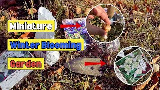 How to Plant a Miniature Winter Blooming Garden And what to put in it [upl. by Anirtek]