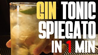 Gin Tonic POCHI lo Sanno Sveliamo il SEGRETO  Ricetta e Preparazione  Italian Bartender [upl. by Hrutkay]