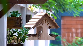 DIY Bird Feeder Simple DIY Woodworking Project [upl. by Mhoj]