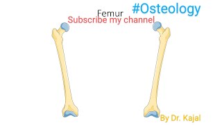 Anatomy Femur 🦴 ll Its features and attachments ll Partll [upl. by Ennovahs]