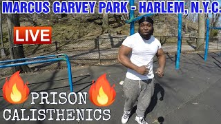 JR  22 Yrs  RIKERS ISLAND PRISON WORKOUT  PRISON CALISTHENICS WORKOUT [upl. by Aivital]