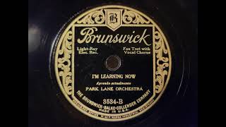 IM LEARNING NOW  PARK LANE ORCHESTRA  1920s Brunswick Bliss Series [upl. by Rehctelf468]