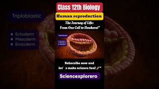 Human Reproduction Class 12th Biology chapter 3 ncert fully explained ncert sciencexplorero neet [upl. by Adnahsal30]