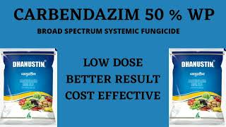 Carbendazim 50 WPBroad Spectrum Systemic FungicideBavistinDhanustinBest Fungicide [upl. by Grover]