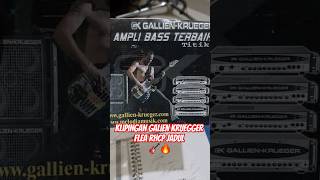 KLIPPING GALIEN KRUEGGER FLEA RHCP JADUL 🎸🔥 galienkruegger fleabass headbass sandraupachannel [upl. by Tristas]