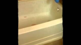 Fiberglass Shower Stall Refinish [upl. by Eimia]