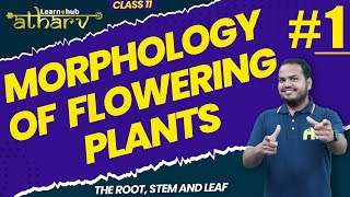 Morphology of Flowering Plants Class 11 Biology NCERT Chapter 5 1  Root Stem Leaf  Atharv Batch [upl. by Noramac863]