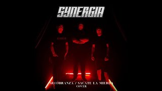 SR COBRANZA  SACATE LA MIERDA  Synergia Cover [upl. by Holleran]