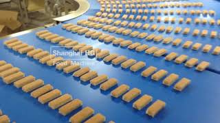 Full Automatic Layer CakeSwiss Roll Production Line Running in HG india customer小瑞士卷 印度 [upl. by Ilrak]