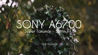 Free To Use  Sony A6700 TEST FOOTAGE  Super Takumar 55mm F18 M42 lens E mount KampF Concepts [upl. by Teresa653]