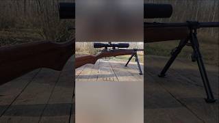 Cooey Model 39 22 cal Single Shot hunting Rifle guns targetshooting outdoors [upl. by Acined]