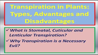 Transpiration in Plants Types Advantages and Disadvantages [upl. by Odlanyar]