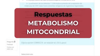 Todo Sobre el Metabolismo Mitocondrial [upl. by Nitfa993]