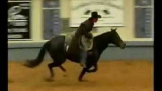 Stacy Westfall 2003 NRHA Futurity Freestyle Bridleless Reining [upl. by Nytsirt]