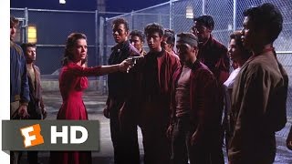 West Side Story 610 Movie CLIP  Challenge to a Rumble 1961 HD [upl. by Quintin]