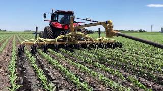 UMN research 2018  Sidedressing manure with draghose system [upl. by Eelanaj859]