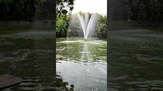 You Wont Believe the Beauty of DELHIs Lodhi Garden shorts [upl. by Rehtaef]