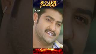 shorts  NTR reminding Nassar words to BhanuChandar Simhadri ntrmovies simhadri4k ntr30 [upl. by Willmert]