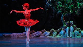 Rite of Spring • Firebird  Stravinsky amp The Ballets Russes  Mariinsky 2008 DVDBluray trailer [upl. by Macpherson]