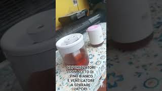 UMIDIFICATORE VAPORIZZATORE CON ACETO DI VINO BIANCO E UN VENTILATORE A SPARARE I VAPORI [upl. by Guillaume]