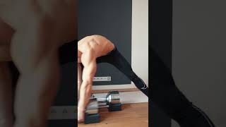 Chest Dumbbells Workout chestworkout chestday bodybuilding shorts [upl. by Vanda]