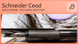 Schneider Ceod fountain pen [upl. by Grunenwald]