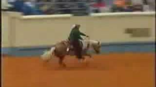 Wimpys Little Step  2002 NRHA Futurity Open Champion [upl. by Adnolaj755]