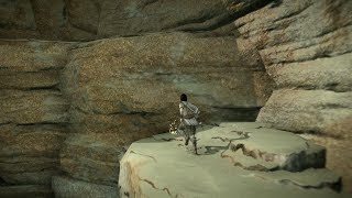 Shadow of the Colossus Enlightenment Gold Coin Collectibles Final Mystery Hunt  72 Coins amp Counting [upl. by Ecyle467]