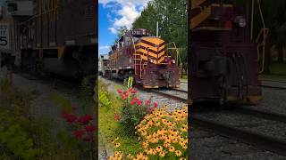 Great Smoky Mountain Railroad Tuckasegee River Excursion [upl. by Danyette]