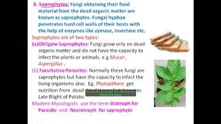 Nutrition in Fungi By Dr Kiran Tak For Paper II  I year Botany [upl. by Eimmas]